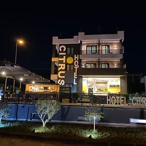 Double Room Balcony